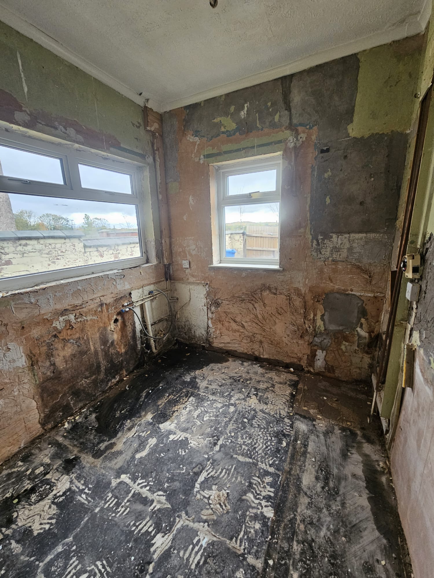 Pre-Renovation Strip & Prep