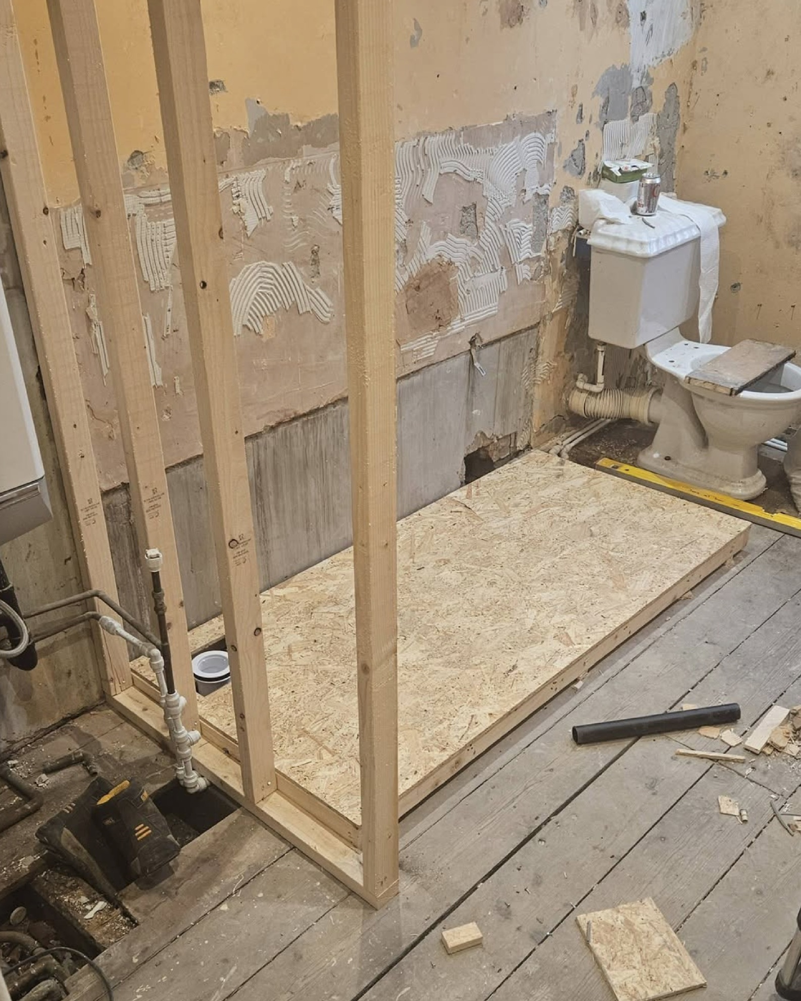 Bathroom Strip-Out